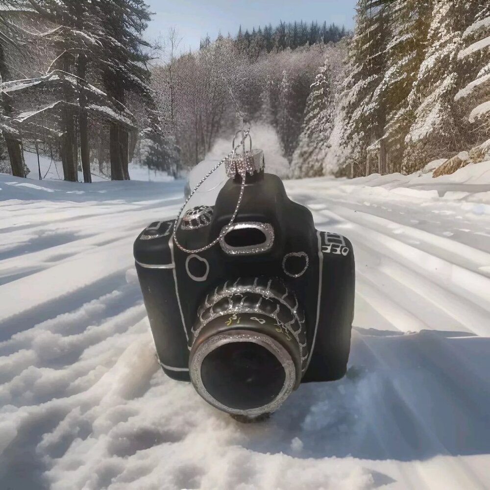 Camera Christmas Ornament black & silver glittery photography holidays R Stanley